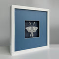 MIOW Paper-Cut Butterfly Art - Blue Background - Set 2