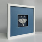 MIOW Paper-Cut Butterfly Art - Blue Background - Set 2