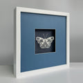 MIOW Paper-Cut Butterfly Art - Blue Background - Set 4