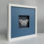 MIOW Paper-Cut Butterfly Art - Blue Background - Set 4