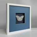 MIOW Paper-Cut Butterfly Art - Blue Background - Set 8