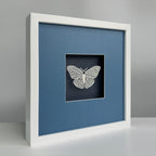 MIOW Paper-Cut Butterfly Art - Blue Background - Set 8