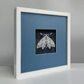 MIOW Paper-Cut Butterfly Art - Blue Background - Set 9