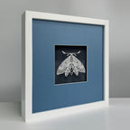 MIOW Paper-Cut Butterfly Art - Blue Background - Set 9