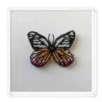 MIOW 7902133321770 - butterfly3-1