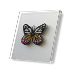 MIOW 7902133321770 - butterfly3-2