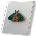 MIOW Hand-Beaded 3D Butterfly with Glass Dome Cover - Design 5