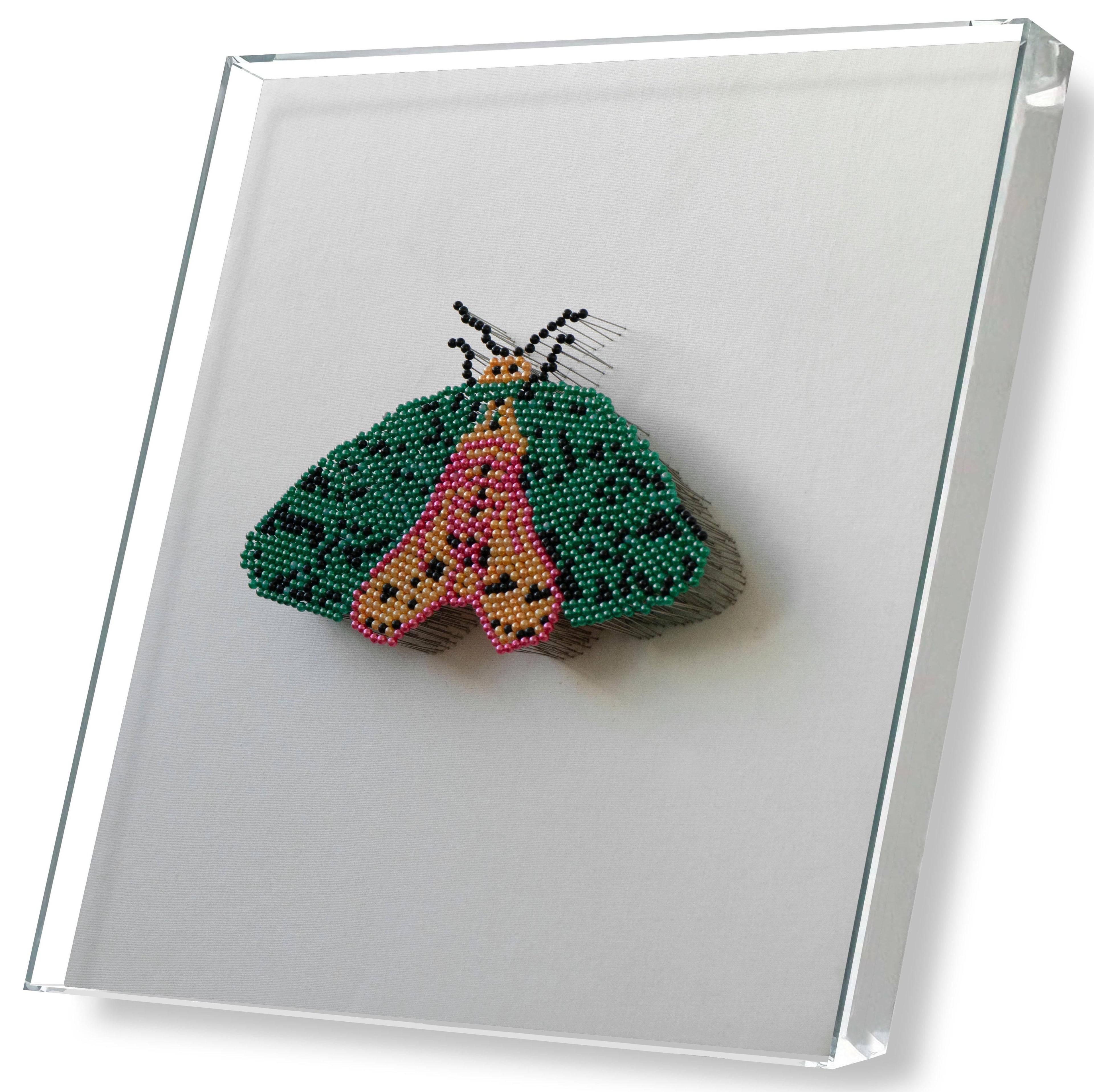 MIOW Hand-Beaded 3D Butterfly with Glass Dome Cover - Design 5