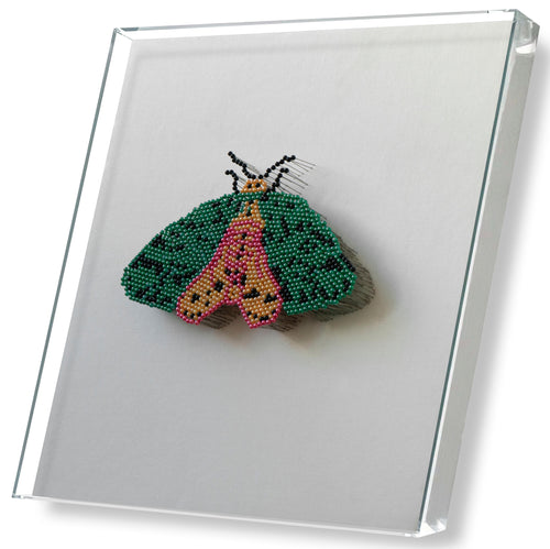 MIOW Hand-Beaded 3D Butterfly with Glass Dome Cover - Design 5
