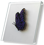 MIOW Hand-Beaded 3D Butterfly with Glass Dome Cover - Design 6