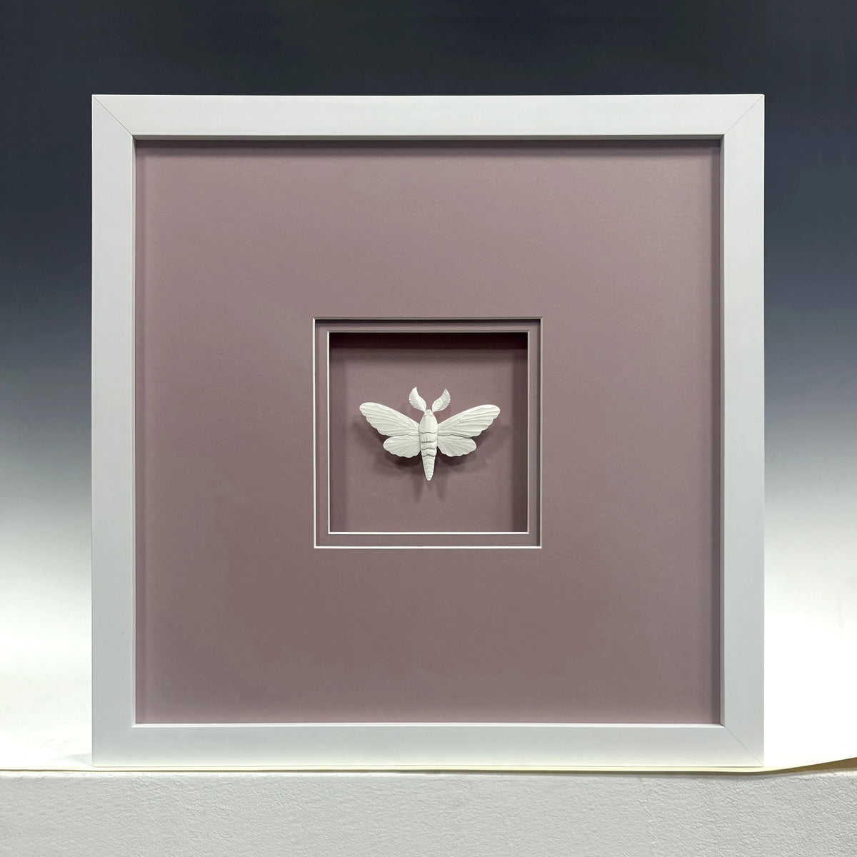 Butterfly-Pink Background PA-0103: paper, light, and shadow.