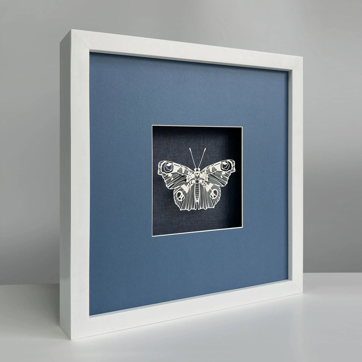 Butterfly-Blue Background PA-0204: paper, light, and shadow.