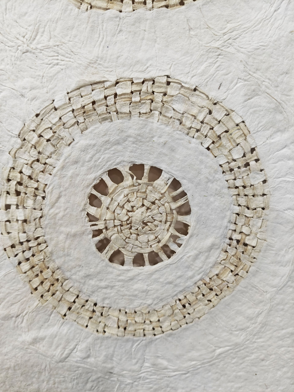 MIOW Paper Pulp Painting - Sculptural Wall Art ZJH03